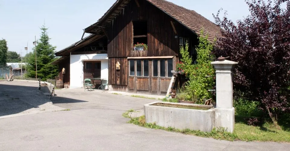 Ferme avec un grand potentiel – photo 2 sur 6