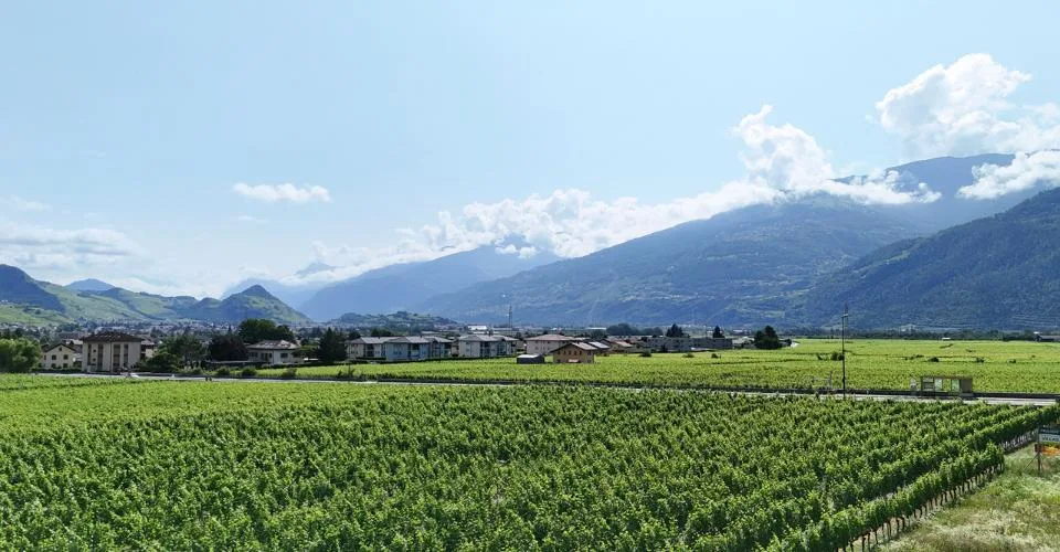 Ihre zukünftige Villa in Vétroz ab CHF 1'475.- pro Monat* – Foto 13 von 13