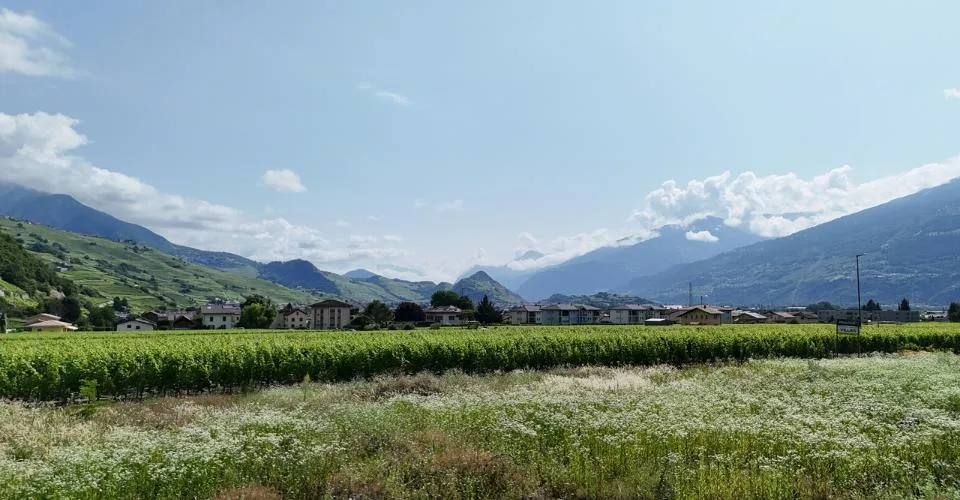 Ihre zukünftige Villa in Vétroz ab CHF 1'475.- pro Monat* – Foto 3 von 13