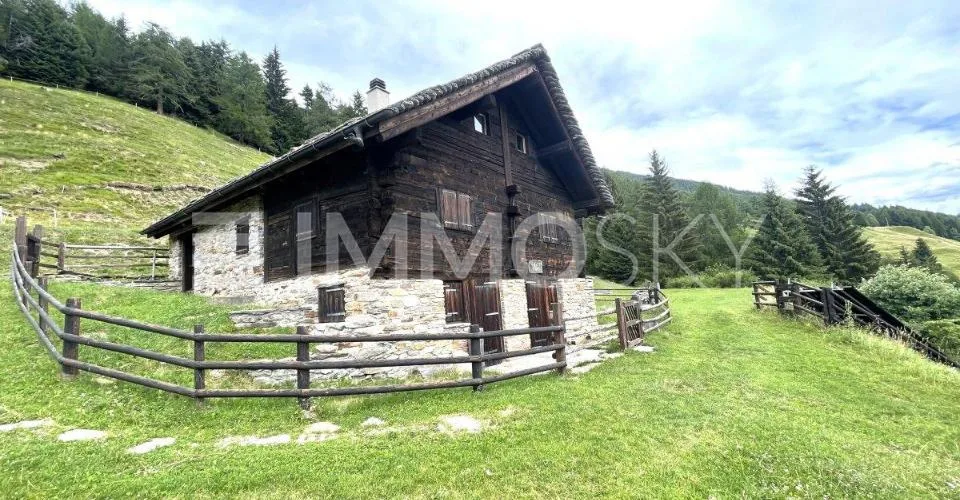 Pace, sole e tranquillità – foto 6 di 10