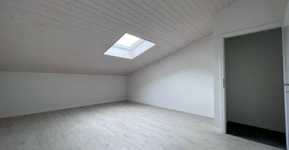 Magnifique 4.5 pièces en duplex