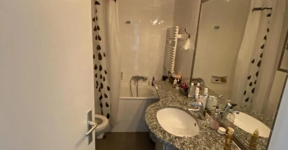 Superbe appartement 3 pièces avec terrasse – photo 4 sur 13