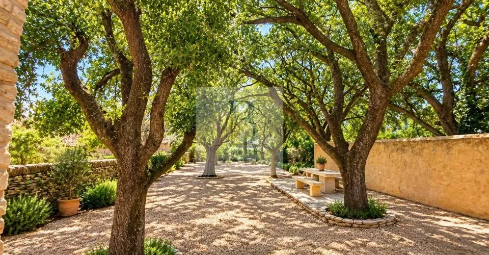 Provence - France - Charmante maison de village – photo 6 sur 12