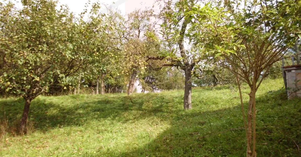 Terrain à bâtir dans un endroit calme et dégagé – photo 7 sur 10