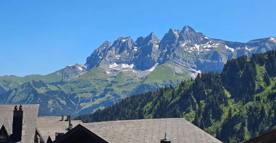 Chalet ski-in-ski-out avec vue imprenable sur les Dents du Midi – photo 7 sur 12