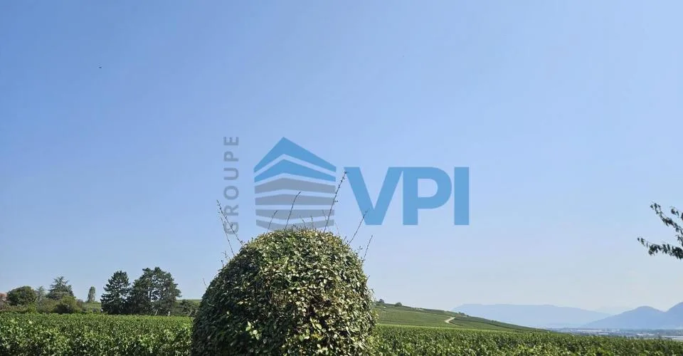 Magnifique villa familiale rénovée avec piscine à Sezenove Bernex