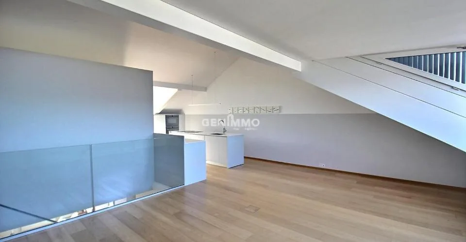 Appartement duplex avec vue panoramique sur le lac ? Anières