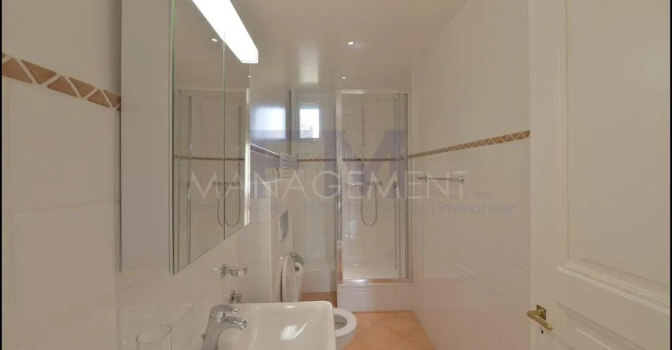 MAGNIFIQUE VILLA DE CHARME À CONCHES ? FUTURE PISCINE & POOL HOUSE – photo 12 sur 13