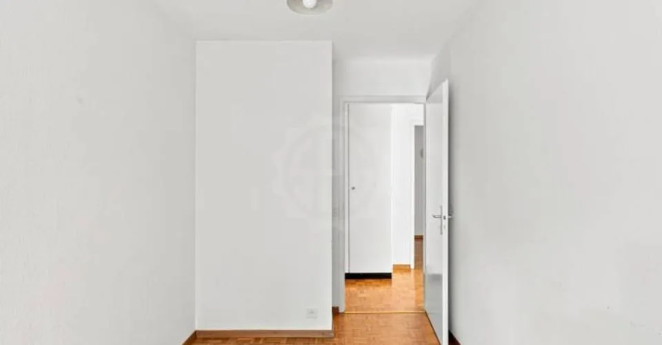 Charmant appartement - Corsier GE