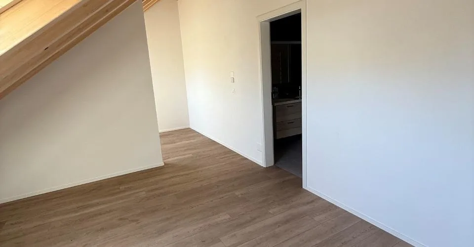 BAISSE DE PRIX: magnifique logement de 5.5 pièces dans une ferme rénovée
