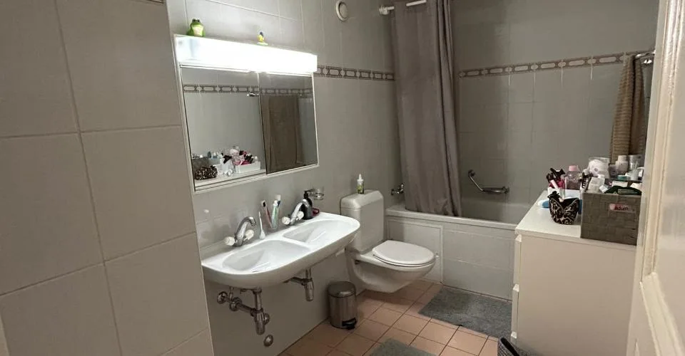 Reprise de Bail Appartement 5.5 pièces – photo 12 sur 17