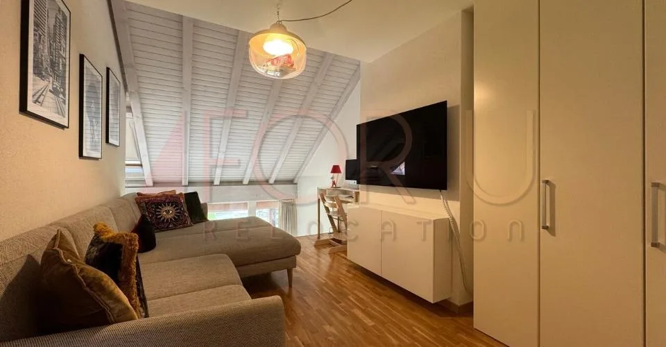 Unique, beau et grand triplex 6.5 pièces en attique à Plan-les-Ouates