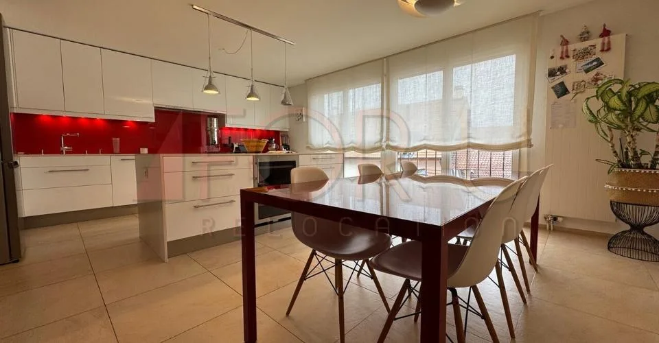 Unique, beau et grand triplex 6.5 pièces en attique à Plan-les-Ouates