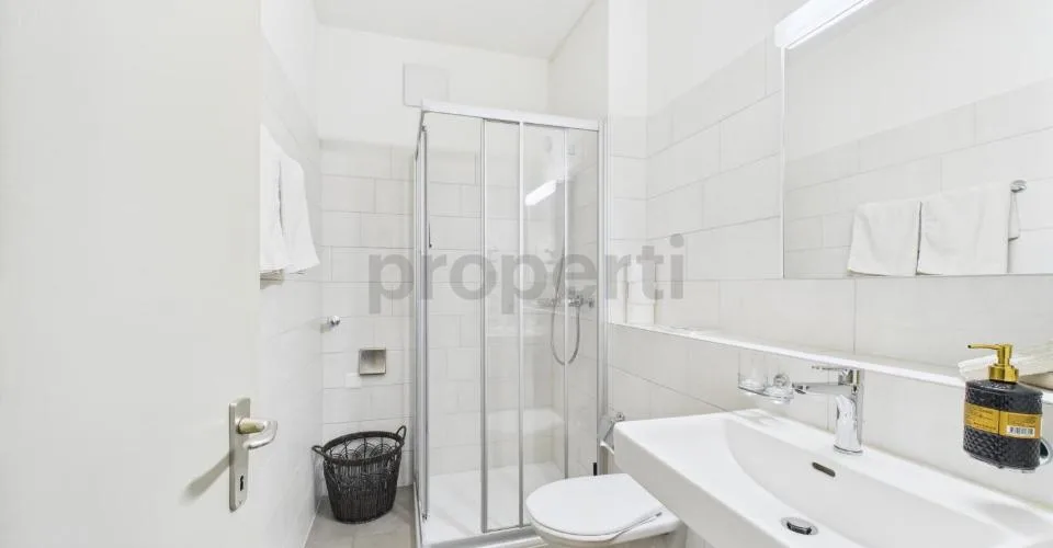 Studio confortable à Ascona – photo 8 sur 18