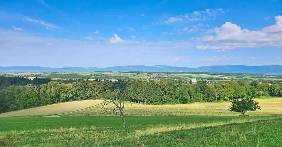 Prächtige 4.5-Zimmer-Villa mit Panoramablick auf den Jura und die umliegende Landschaft – Foto 23 von 26