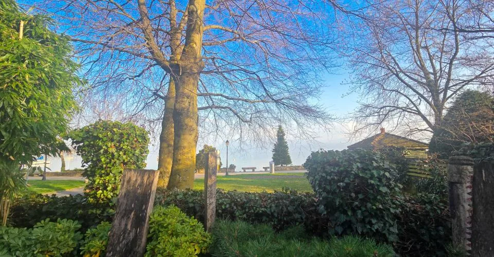 RARE- Propriété en bord de lac, avec place de bateau – photo 5 sur 11