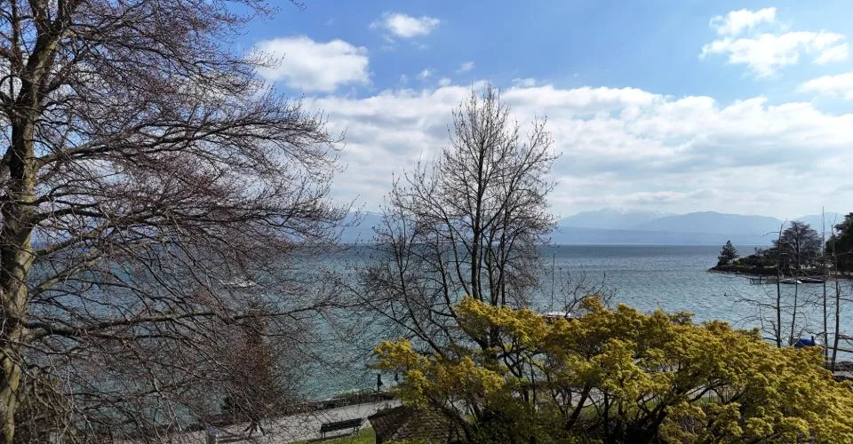 RARE- Propriété en bord de lac, avec place de bateau – photo 7 sur 11