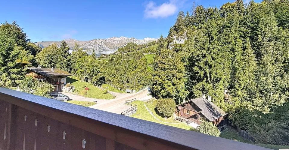 Aux portes de Gstaad – Appartement d'exception dans un chalet moderne – photo 6 of 7