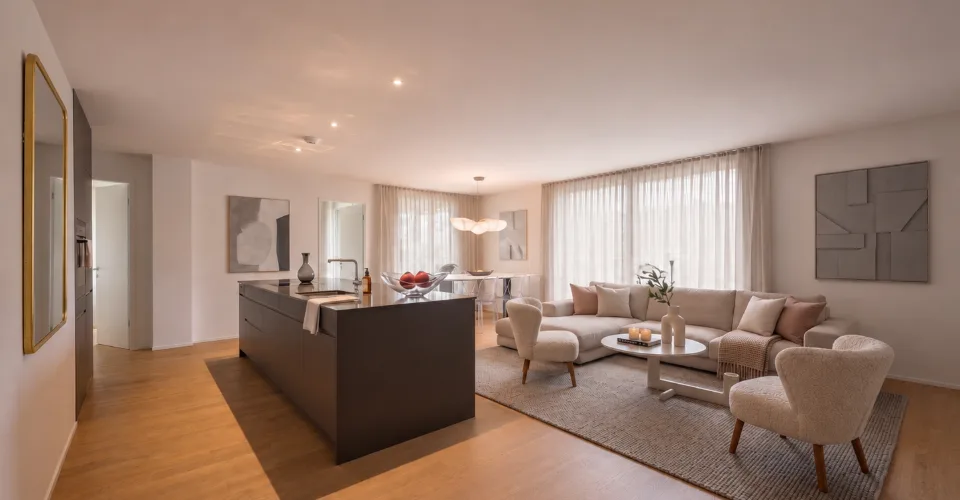 Compact space wonder near the Rhine Falls: New kitchen island, En-Suite bathroom, washing tower, and train station in 50 m – photo 12 of 21