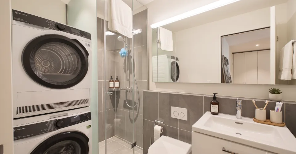 Compact space wonder near the Rhine Falls: New kitchen island, En-Suite bathroom, washing tower, and train station in 50 m – photo 18 of 21