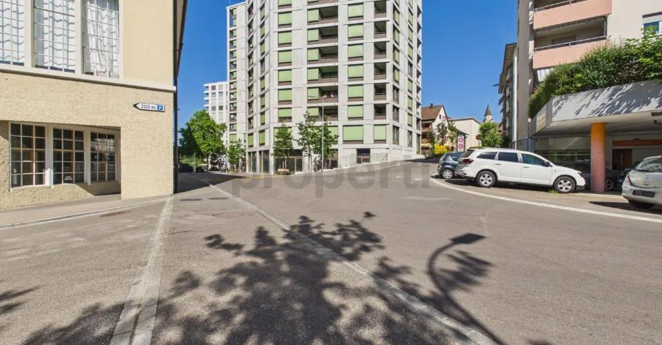 Compact space wonder near the Rhine Falls: New kitchen island, En-Suite bathroom, washing tower, and train station in 50 m – photo 20 of 21
