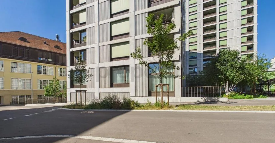 Compact space wonder near the Rhine Falls: New kitchen island, En-Suite bathroom, washing tower, and train station in 50 m – photo 19 of 21