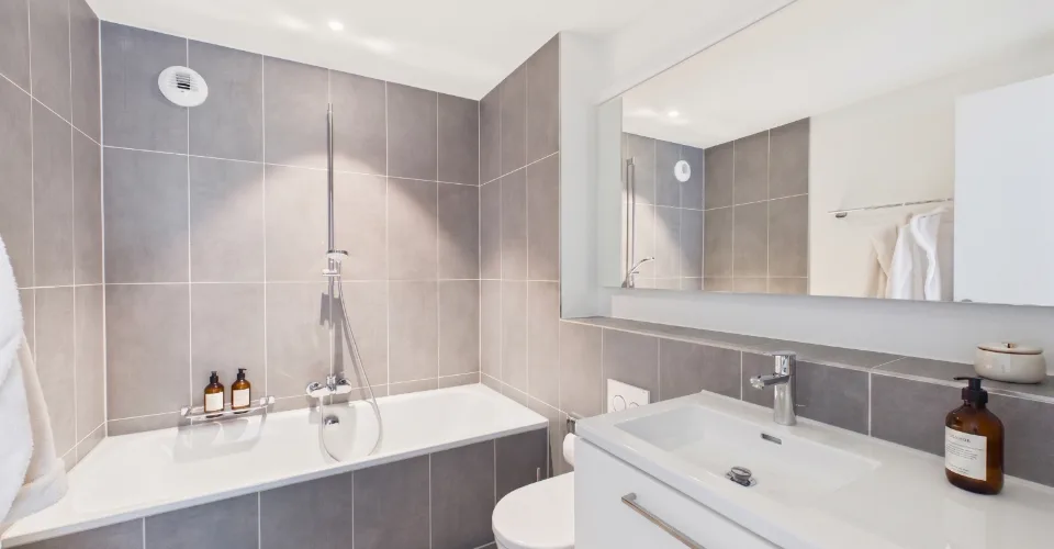 Compact space wonder near the Rhine Falls: New kitchen island, En-Suite bathroom, washing tower, and train station in 50 m – photo 17 of 21
