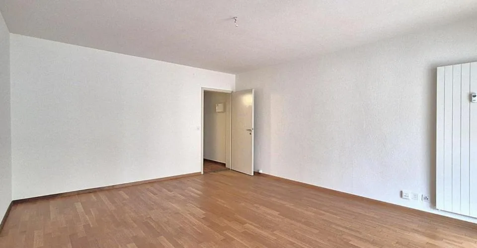 1 Zimmer Wohnung, 4102 Binningen