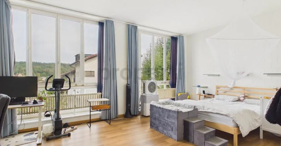 Vista panoramica, soffitti alti & cortile interno - La tua nuova dimora a Othmarsingen