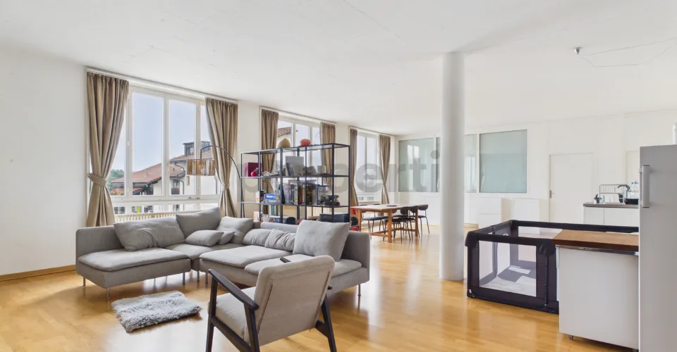 Vista panoramica, soffitti alti & cortile interno - La tua nuova dimora a Othmarsingen
