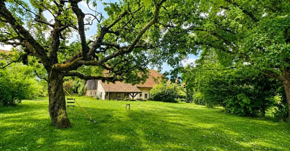 Opportunité rare à Villars-Mendraz, une propriété à réinventer – foto 4 di 8