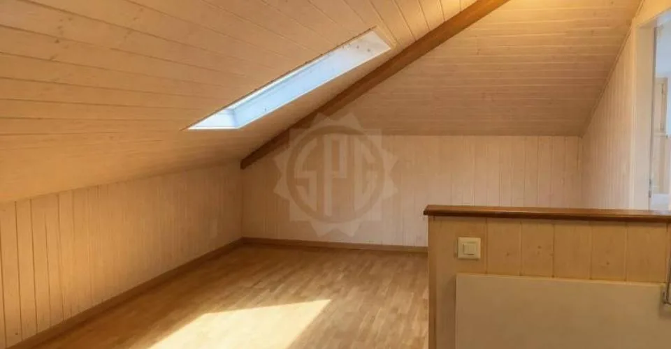 Beautiful apartment - Founex