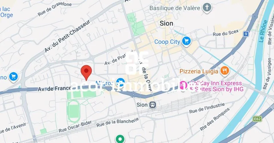 SION CENTRE – 4,5 PIÈCES DE 201 M² – JARDIN DE 106 M²- TERRASSES - SUD – photo 6 sur 6