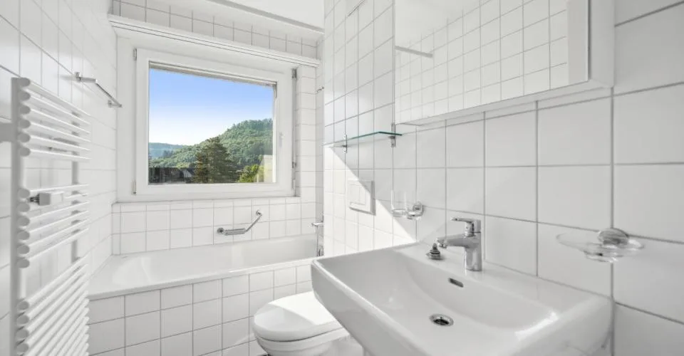 4.5 Zimmer Wohnung, 4450 Sissach