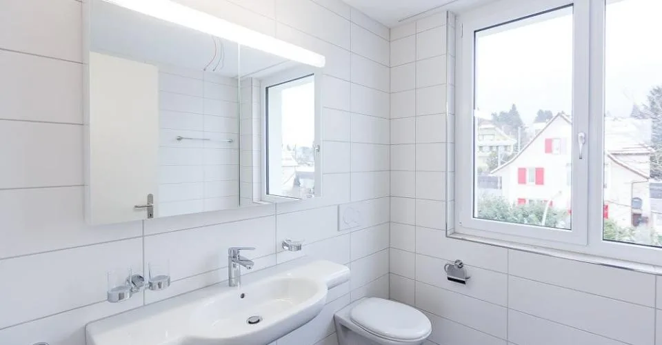 Attic apartment in Grenchen