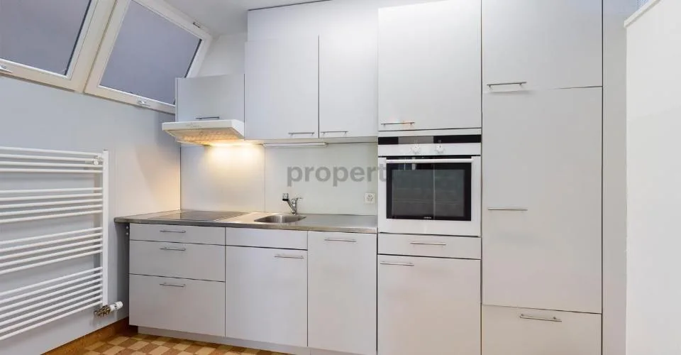 Moderne Küche, Balkon und gemeinsame Dachterrasse