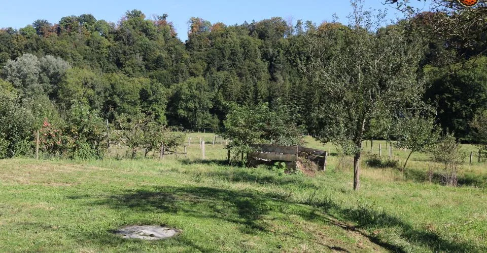 3½ LOCALI - CONTESTO IDILLIACO