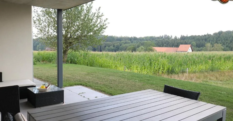 3 ½ PIECES - With a terrace!
