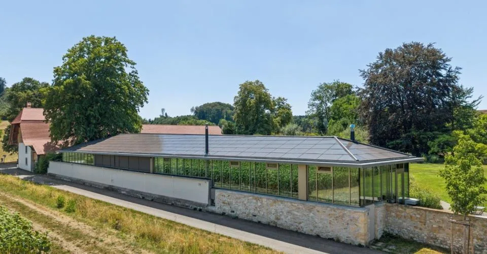 Leben im Schlosspark – foto 2 di 13