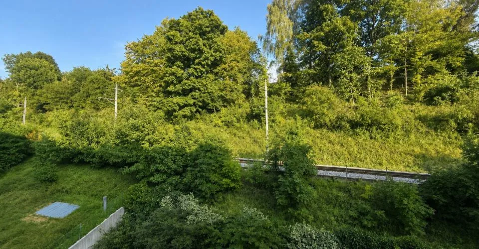3.5-room apartment for rent in Vevey – photo 3 of 9
