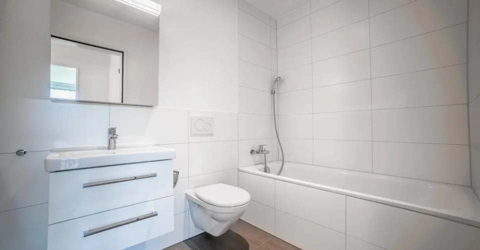 Apartment seeks single