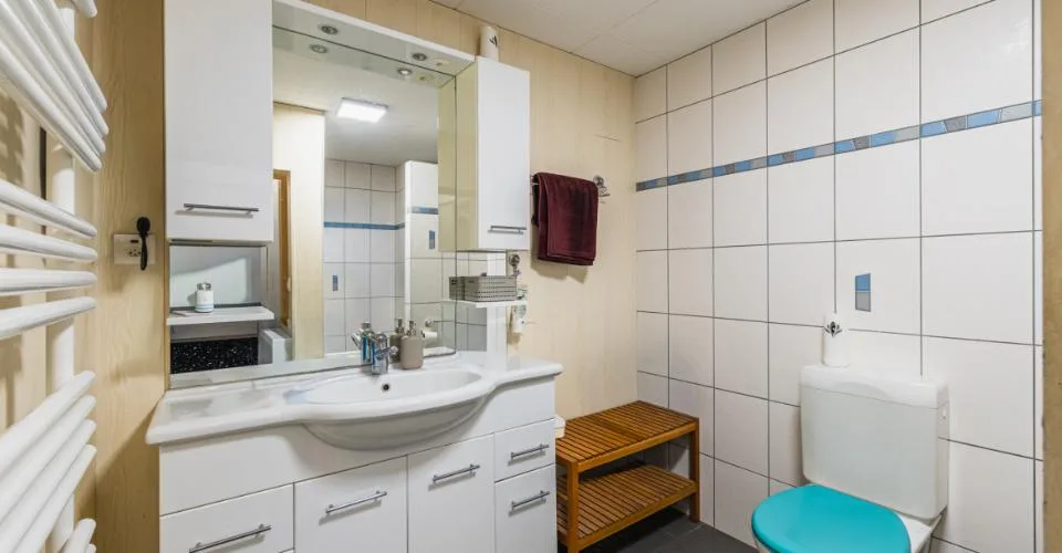HAUS MIT BAUPOTENZIAL IN CHAVORNAY – Foto 7 von 24