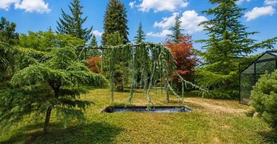 UNIKAT MIT SONNIGEM GARTEN! – Foto 9 von 12