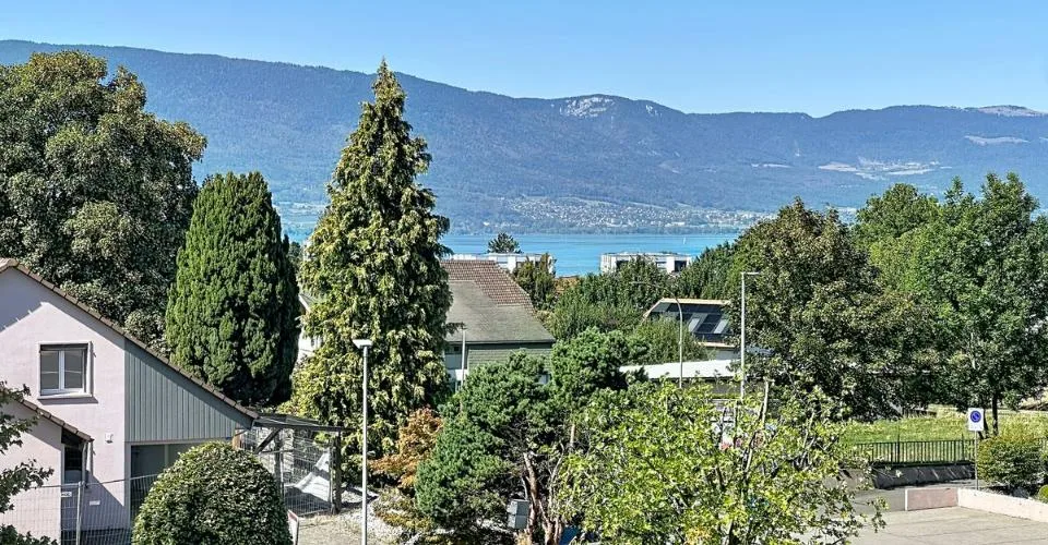 Light, space and beautiful views of the lake: a renovated apartment on the top floor – photo 24 of 24