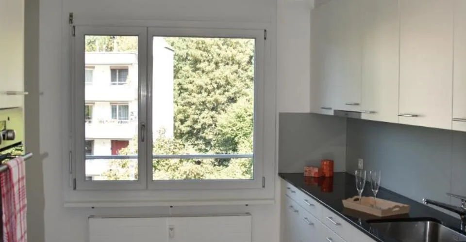 Grosszügige Wohnung mit Cheminée