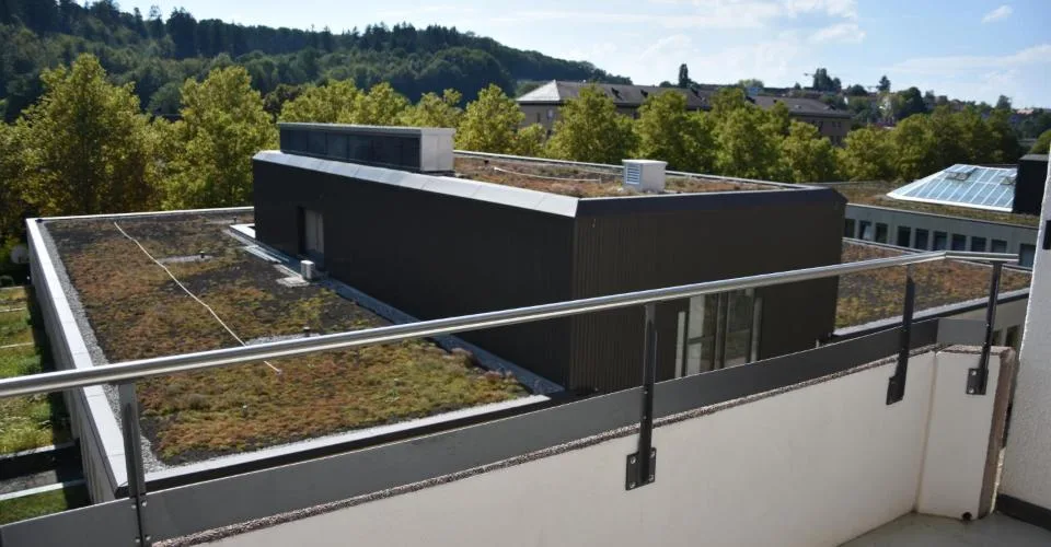 Grosszügige Wohnung mit Cheminée