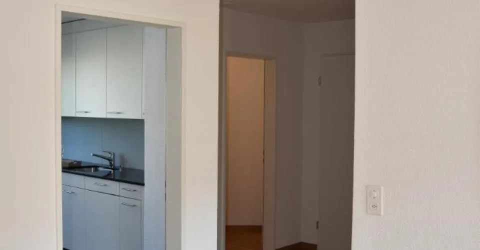 Grosszügige Wohnung mit Cheminée