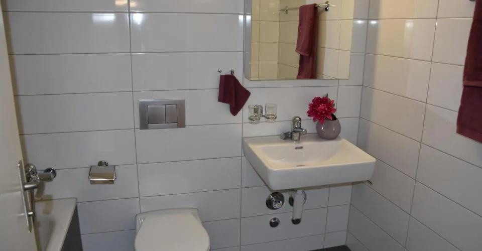 Grosszügige Wohnung mit Cheminée