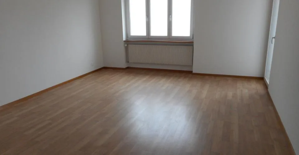 Grand appartement entièrement rénové