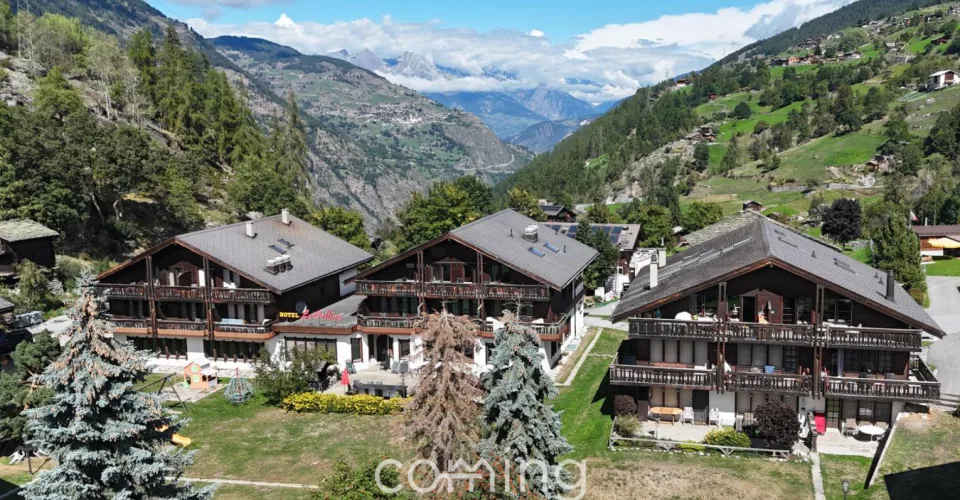 Vivere con vista sulla montagna - delizioso appartamento di 3,5 locali a Grächen – foto 16 di 25